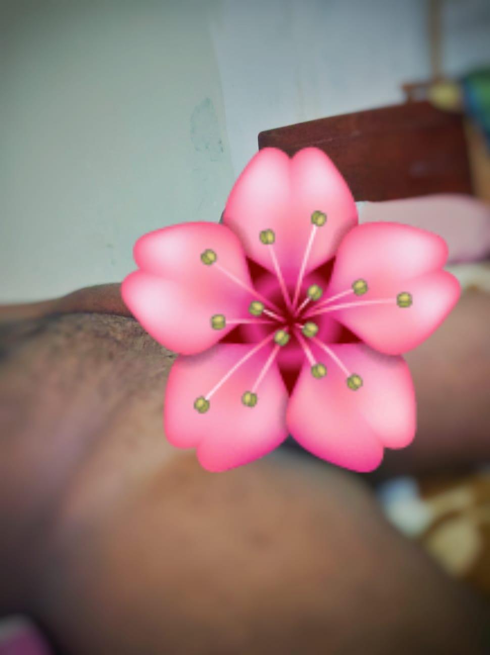 Image of කාන්තාවන් සදහා පමණයි. 👍 📵පිරිමින් කතා කිරීමෙන් වලකින්න📵