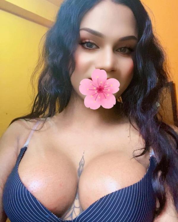 Image of Verified Shemale Cam Show Beautiful Shemale Genuine Live Cam Show Available ❤️😇