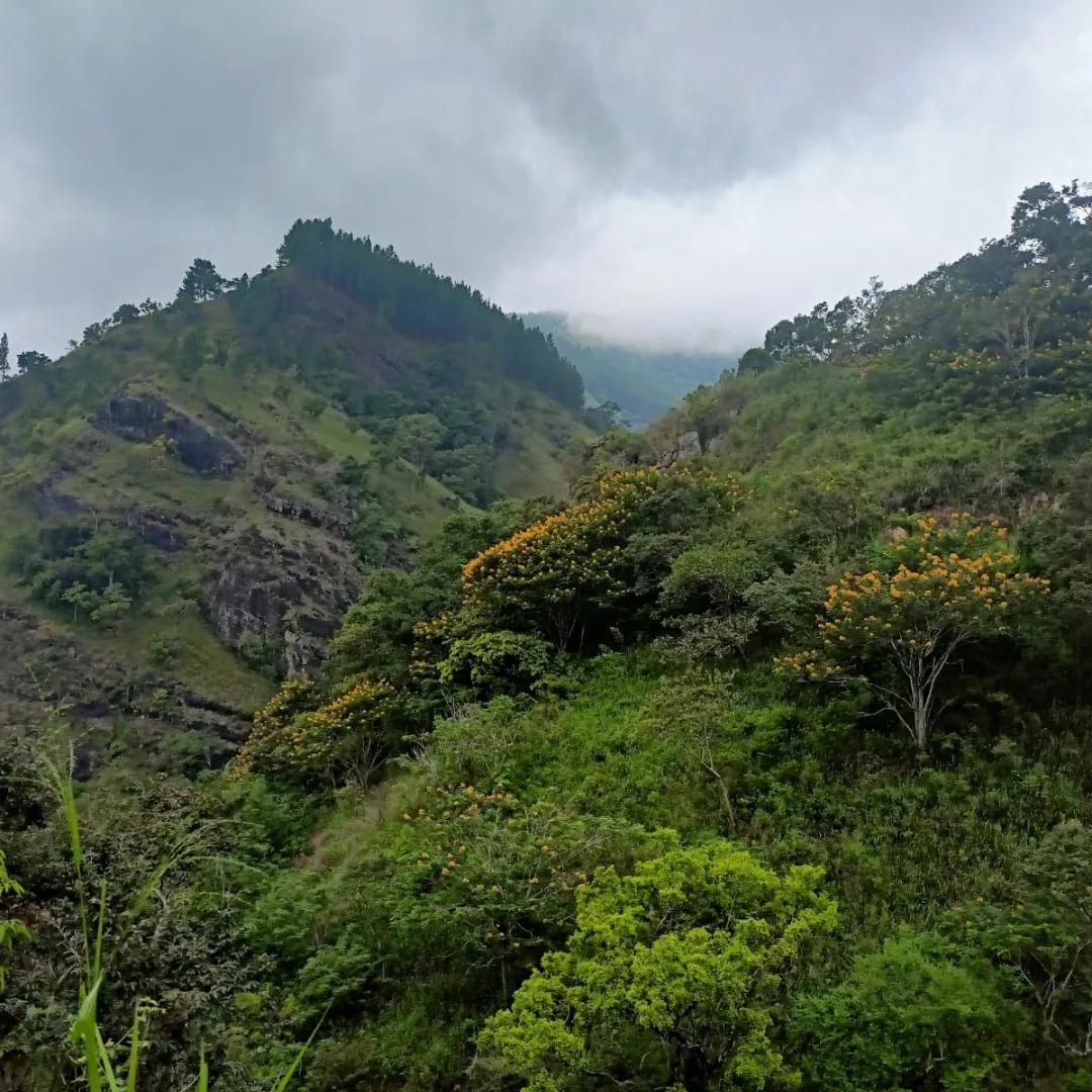 Image of Ladies Only