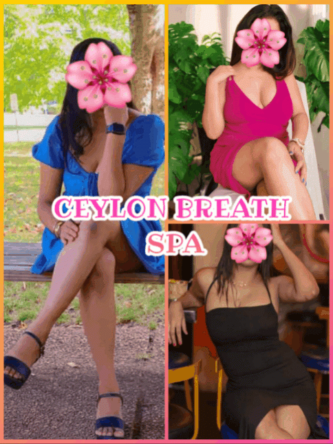 Image of CEYLON BREATH SPA In Star Class Hotel NEGAMBO AND COLOMBO 🏨