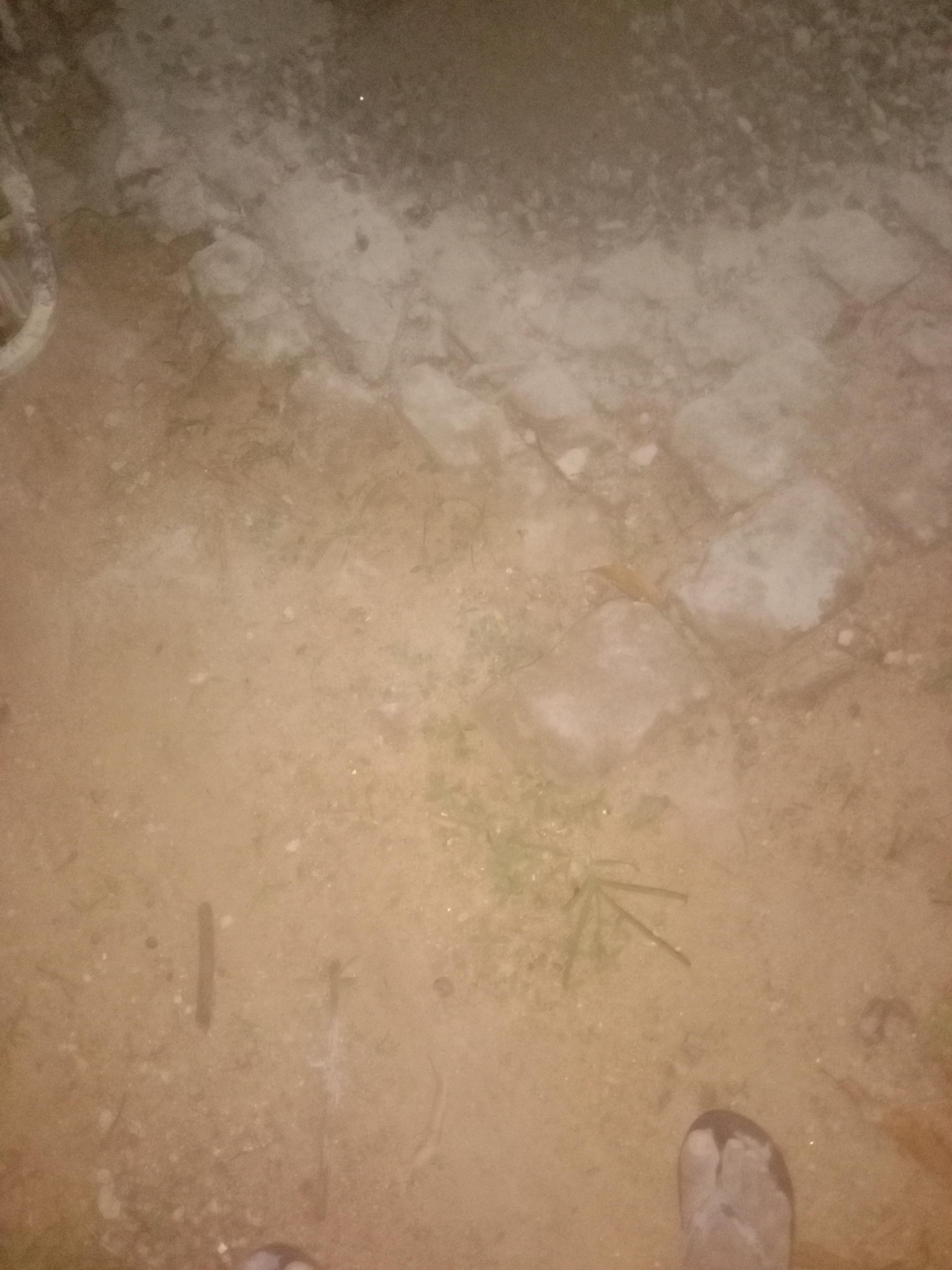 Image of ආදරෙයි