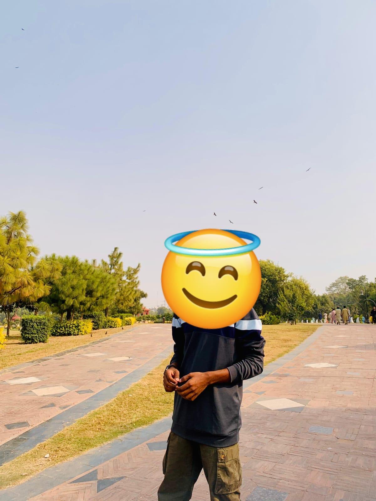 Image of Only ladies and aunties