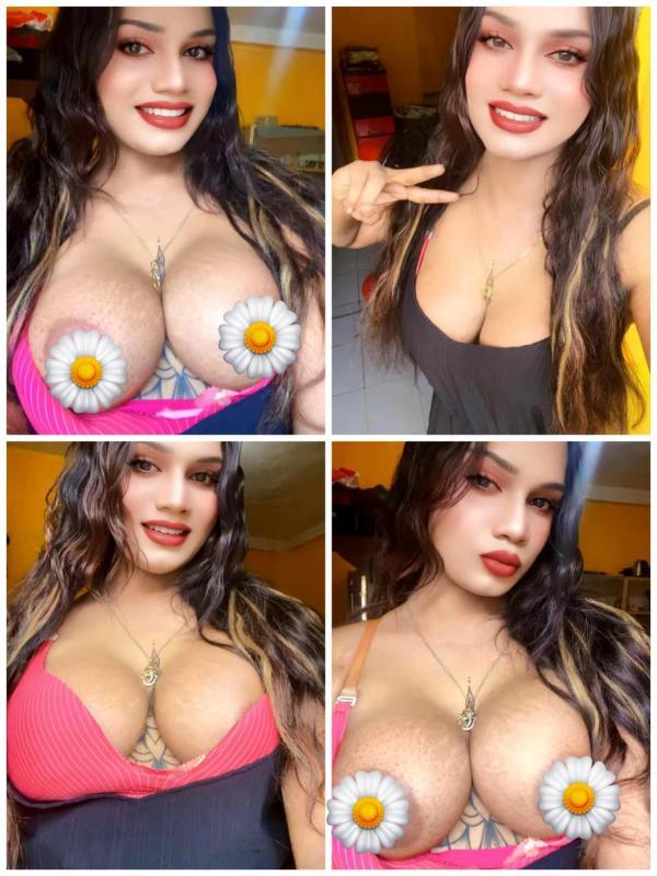 Image of Verified Shemale Cam Show Beautiful Shemale Genuine Live Cam Show Available ❤️😇