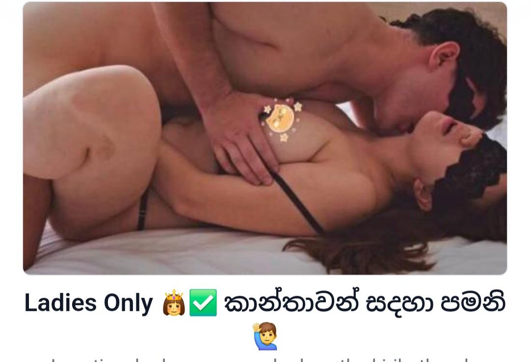 Image of Live show karnava full service karnava