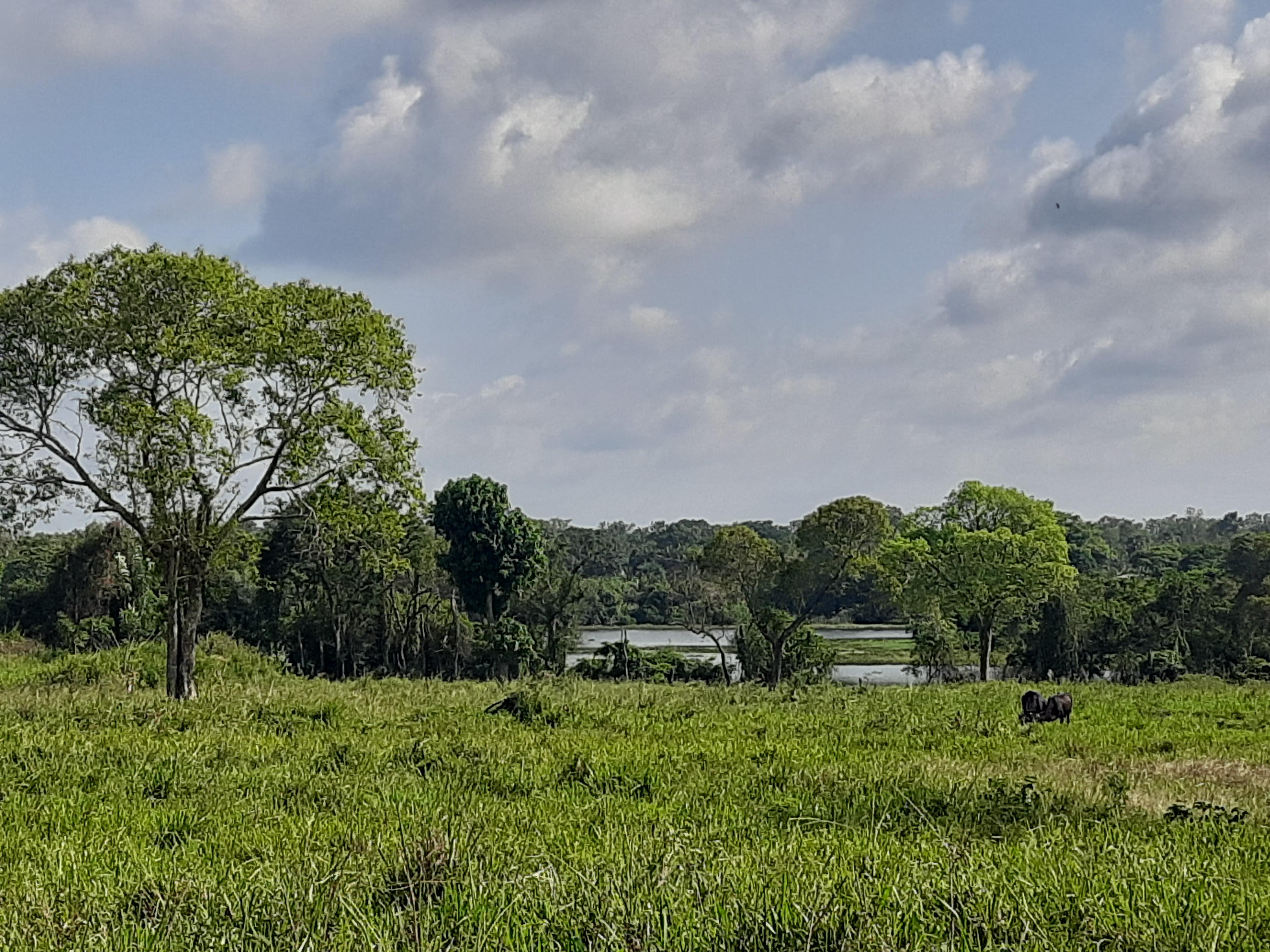 Image of Need a Account clerk