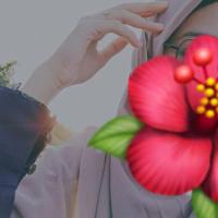 Image of Live Cam Show