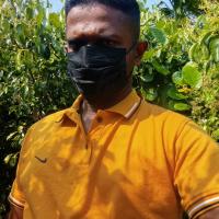 Image of Vip grals pussy liking sawis listing image