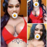 Image of Verified Shemale Cam Show Beautiful Shemale Genuine Live Cam Show Available ❤️😇 listing image