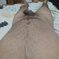 Image of Lesbian couple and real couple threesom service listing image