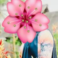 Image of 💦🌸🪷  Hai iam 28 years old Muslim girl Shazna listing image