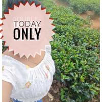 Image of Today only new unmarried girl full service in kottawa listing image