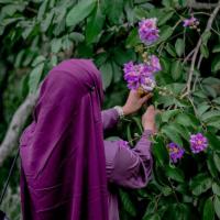 Image of ✅V cam Muslim girl listing image